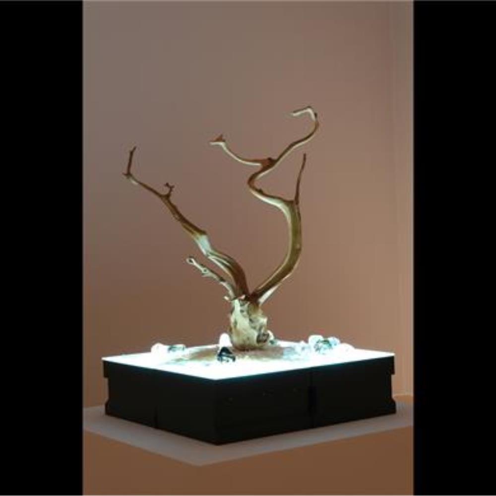 <div>太虛  ( 系列之一）</div>

<div>孟舒</div>

<div>吹製玻璃、崖柏、砂、LED</div>

<div>80 x 80 x 150 cm</div>

<div>2018</div>

<div> </div>

<div>作品由澳門博彩股份有限公司提供<span style="white-space:pre"> </span>O UNIVERSO (SÉRIE_I)</div>

<div> </div>

<div> </div>

<div> </div>
